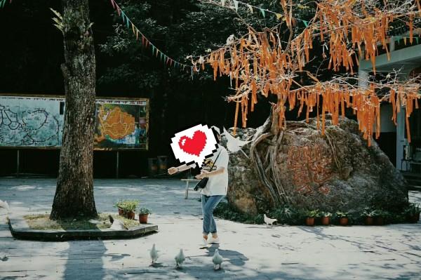 拯救可爱小怪