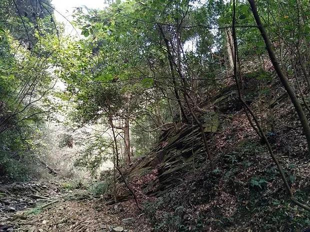 中东部雨雪过程今起收尾 气温偏低状态仍将维持